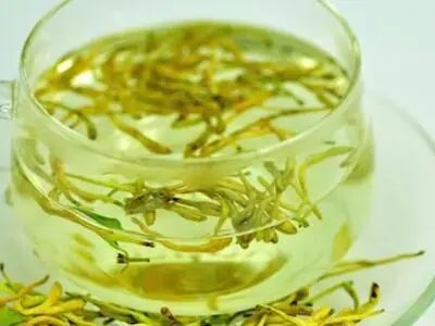 What Are the Benefits of Drinking Honeysuckle Tea? Key Points to Know to Avoid Misuse