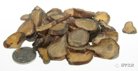 The Distinct Functions of Fresh Ginger and Dried Ginger in Traditional Chinese Medicine