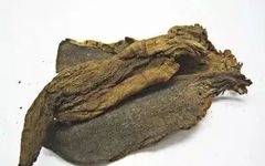 Commonly Used Chinese Herbs for Clearing Heat and Detoxifying