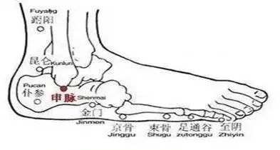 The Eight Extraordinary Meridians: A Major Remedy for Comprehensive Healing, Including Diagrams!