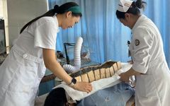 Traditional Chinese Medicine's Yang-Warming Therapy