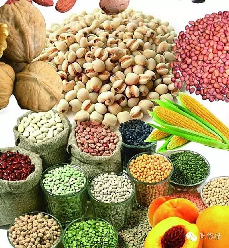 Understanding the Properties and Dietary Recommendations of Grains in TCM