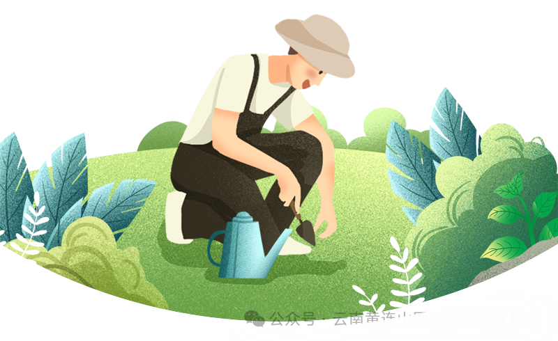 Yunnan Huanglian Mountain: Sowing Hope on Arbor Day