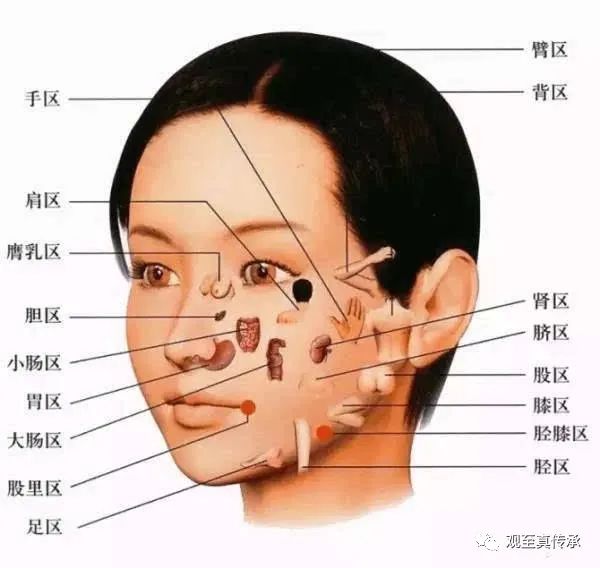Observing Changes in the Five Organs through Facial Diagnosis