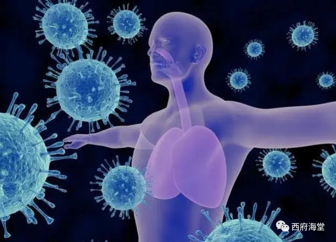 Causes of Disease (Part II): External Pathogens and Epidemics