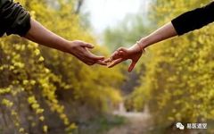 Balancing Yin and Yang: The Harmony of Phoenix and Dragon