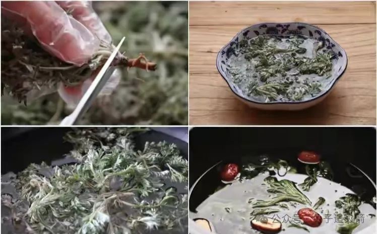 The Benefits of Eating Artemisia Annua in Spring: Clearing Heat, Detoxifying, and Nourishing the Liver
