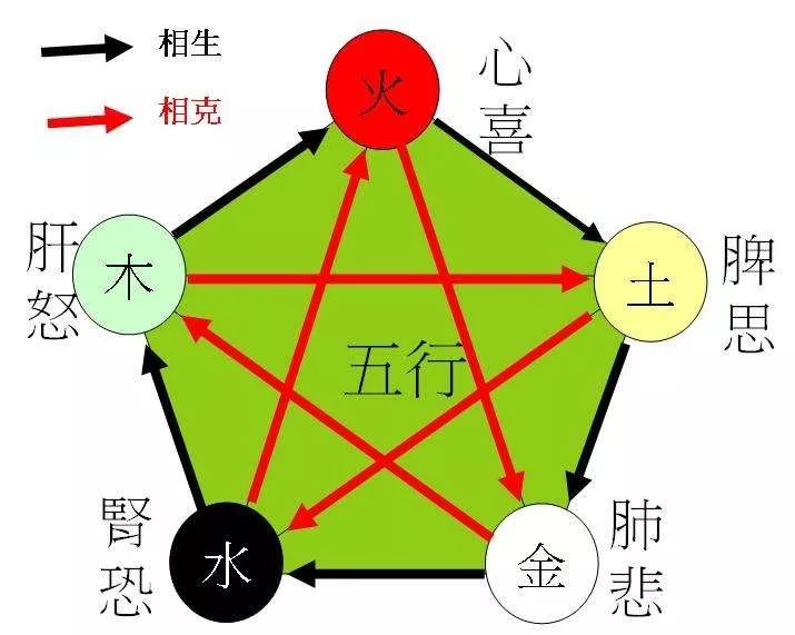 The Impact of Emotions on Health: Insights from Traditional Chinese Medicine