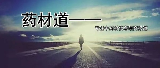 Who Has Been Hurt by Bai Shao?