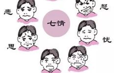 Dr. Ni Haixia Discusses the Characteristics of 'Seven Emotions' as Causes of Disease