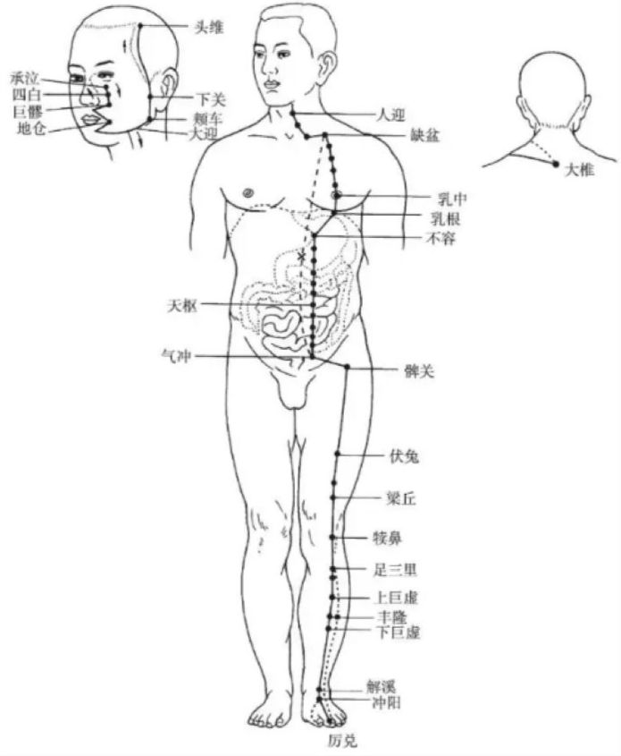 The Pathways and Interconnections of the Twelve Meridians
