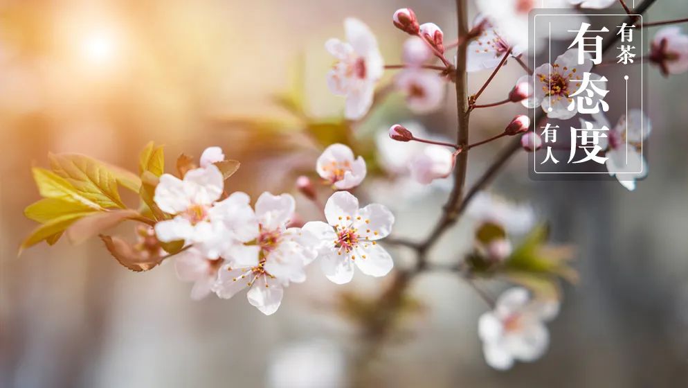 Spring Equinox: Achieving Yin-Yang Balance for Health