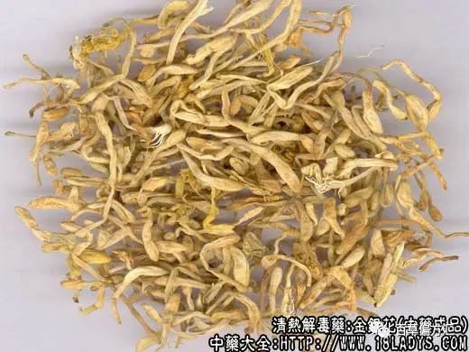 The Efficacy and Functions of Jin Yin Hua (Honeysuckle)