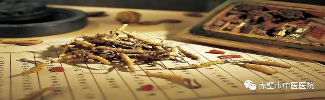 Understanding Common Chinese Herbs: Fu Ling (Poria)