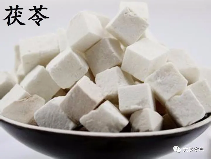 A Handful of Poria: 14 Uses for Treating Spleen Deficiency, Duodenal Ulcers, Insomnia, Forgetfulness, and More