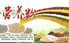 Health Benefits of 20 Nutritious Grain Powder Recipes for the Whole Family