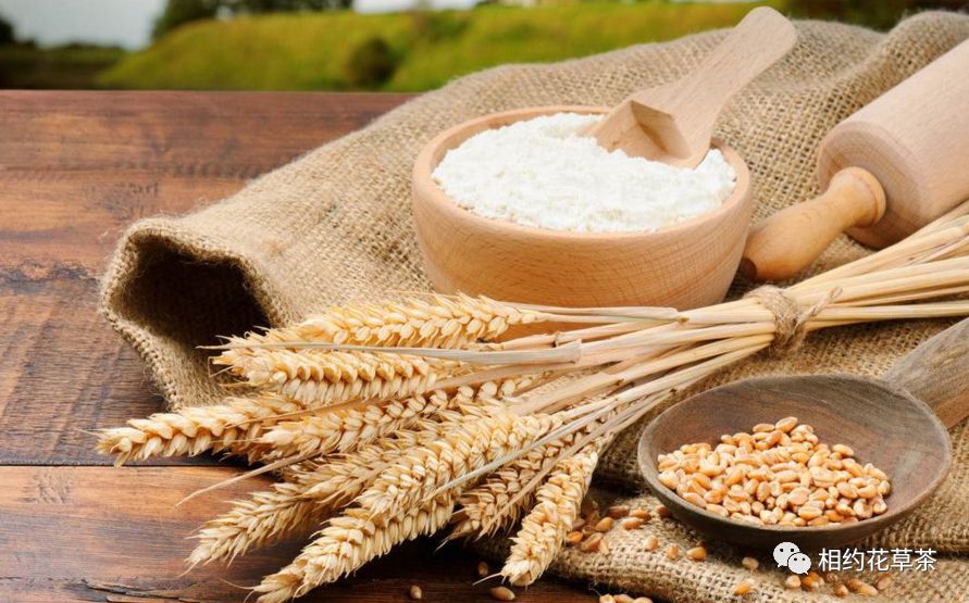 Nutritional Benefits of Various Grains and Beans (Part 1)
