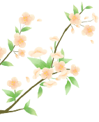 Spring Equinox: Balancing Yin and Yang for Health