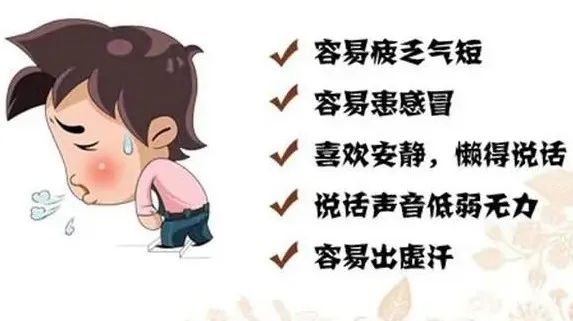 How to Regulate Qi Deficiency Constitution?