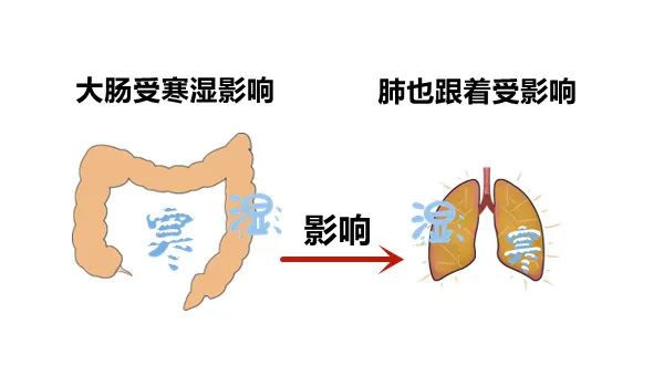 Understanding the Relationship Between the Large Intestine and the Lungs: Cold Dampness and Its Impact on the Spirit
