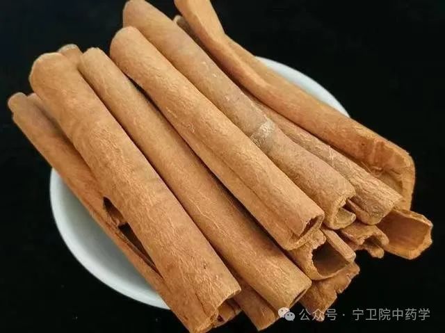 Exploring Cinnamon: Understanding Its Varieties and Uses in TCM