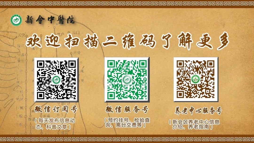 The Past and Present of Honeysuckle (Jin Yin Hua)