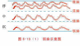 The Twenty-Eight Pulses and All Pulse Patterns in Traditional Chinese Medicine (Animated Illustrations)