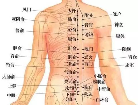 Understanding the Practice of Cupping Therapy