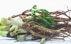 The Efficacy and Functions of Angelica Sinensis (Dang Gui)