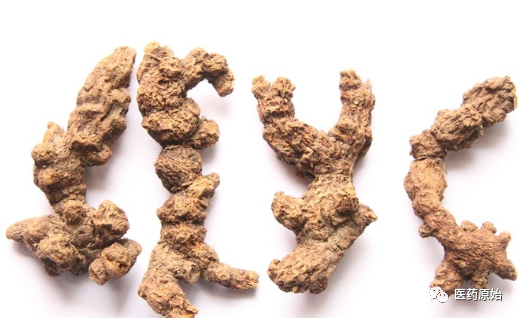Identifying Atractylodes