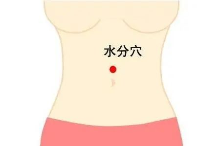 Nurturing Nine Types of Constitutions in Traditional Chinese Medicine