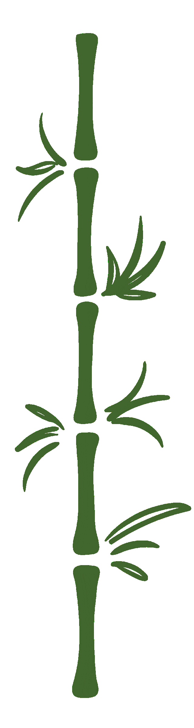 Understanding Body Constitution in Traditional Chinese Medicine