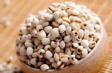 The Wonderful Uses of Coix Seed (Yi Yi Ren) in Food and Medicine