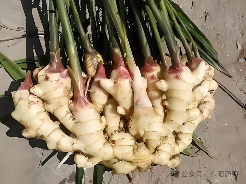 Is Fresh Ginger the Same as Dried Ginger?