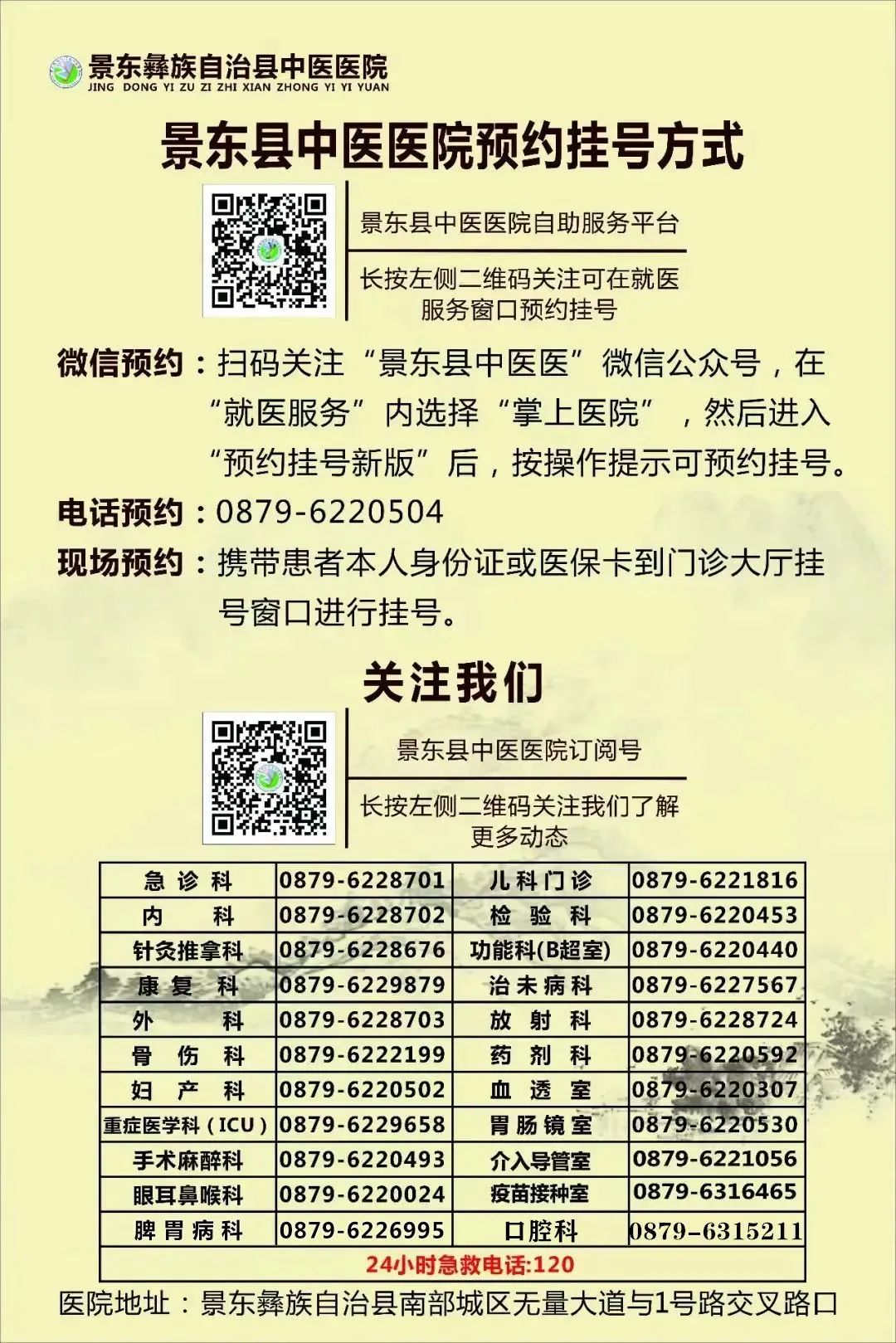 Understanding Dang Shen (Codonopsis pilosula) in Traditional Chinese Medicine