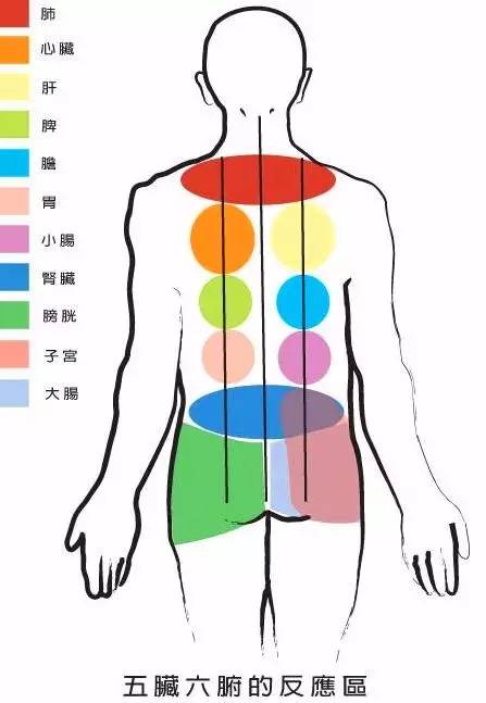 Analysis of Guasha Marks: Reflecting Different Health Conditions!