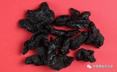 Chinese Herbal Medicine: Shú Dì Huáng (Rehmannia Glutinosa)