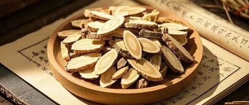 Why Traditional Chinese Medicine Seems Less Effective Today: A Reflection on Quality and Practice