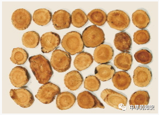 Traditional Chinese Medicine Knowledge | Astragalus