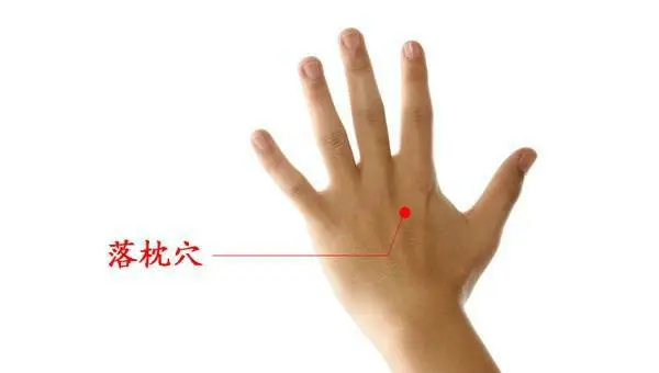 47 Unique Acupuncture Points Worth Seeing! (Collector's Edition)