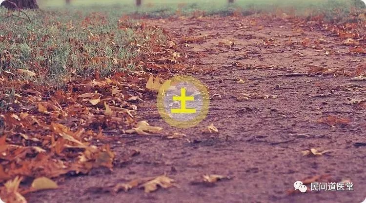 The Five Elements: Understanding Your Personality Traits