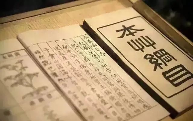 Exploring the Millennia of Wisdom in Traditional Chinese Medicine: A Study of the Compendium of Materia Medica