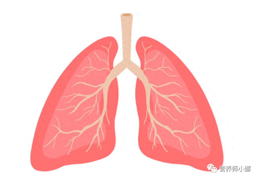The Dangers of Drinking Astragalus Water: Is It Really Harmful to the Kidneys?