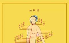 Understanding the Eight Extraordinary Meridians in Traditional Chinese Medicine