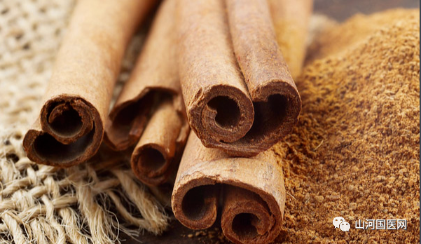 Traditional Chinese Medicine: Cinnamon