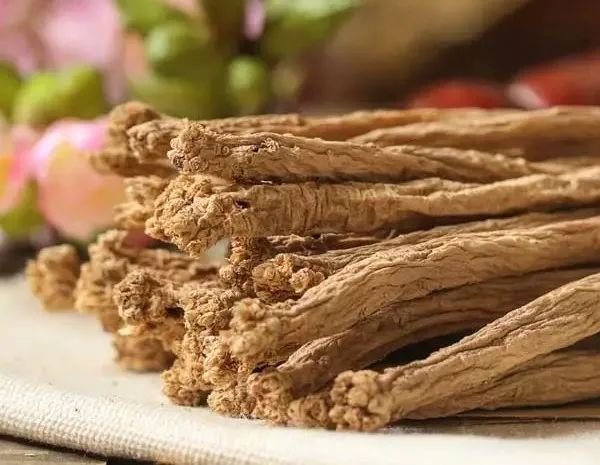Wild Codonopsis from Changbai Mountain: A Superior Tonic for Qi and Blood!