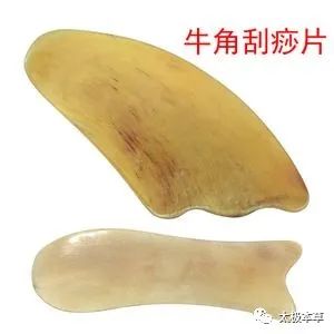 A Substitute for Rhinoceros Horn: Water Buffalo Horn for Treating Eight Conditions Including High Fever and Delirium
