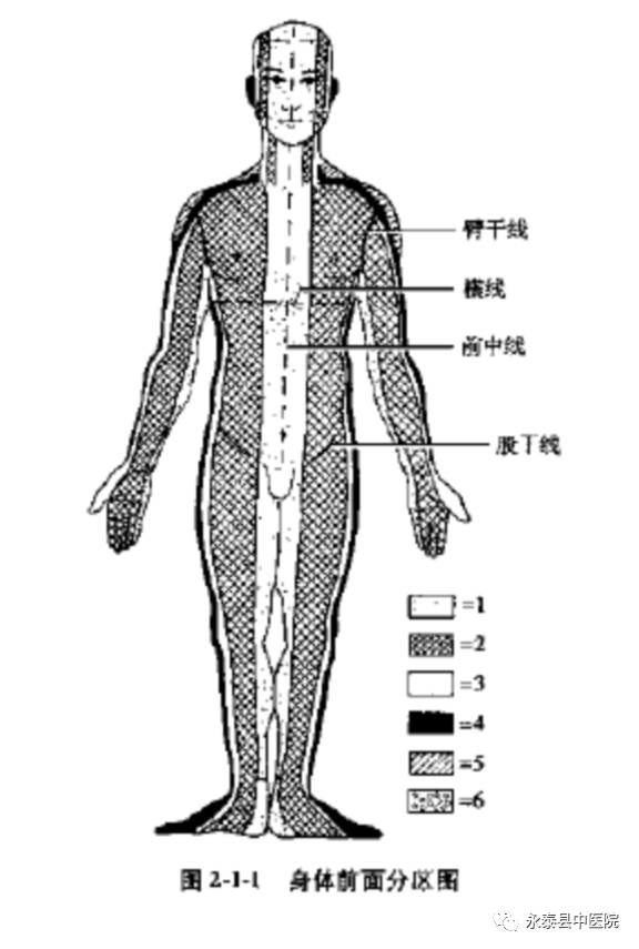 Traditional Chinese Medicine Techniques: Acupuncture Techniques