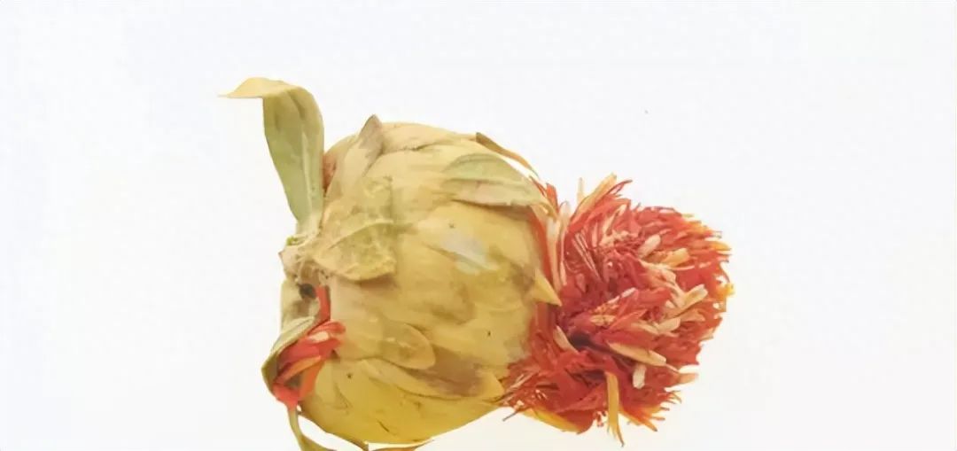 Identification of the Chinese Medicinal Herb Safflower