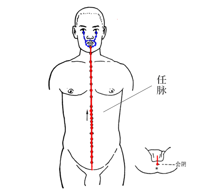 Protect Your Body's Two Meridians: Balance Yin and Yang for Unobstructed Qi and Blood Flow!